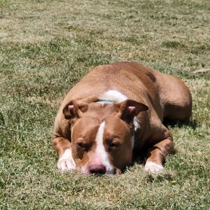 Won The Item Woman/Purses/Shoes